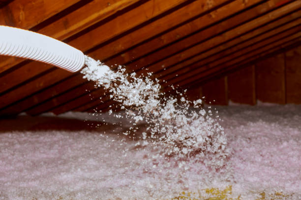 Best Insulation Repair Services  in Rock Creek, AL