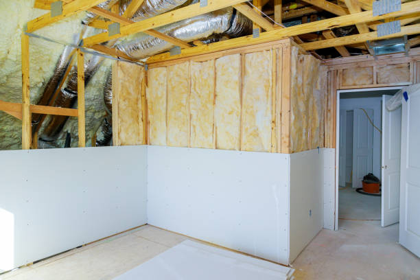 Best Insulation Contractor Near Me  in Rock Creek, AL