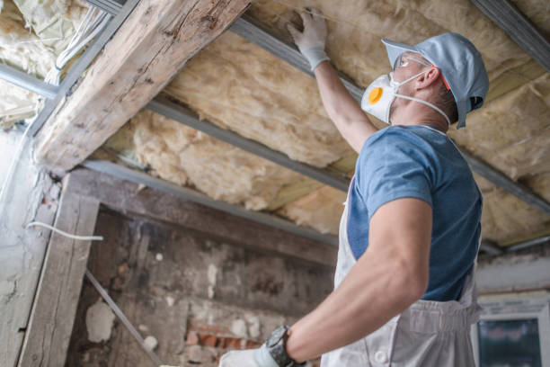 Best Insulation Replacement Services  in Rock Creek, AL