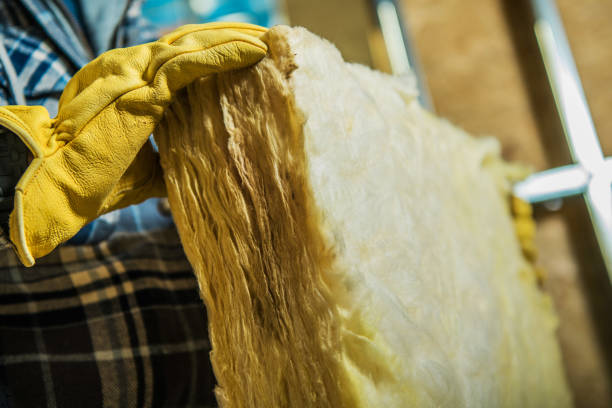 Best Insulation Removal Services  in Rock Creek, AL