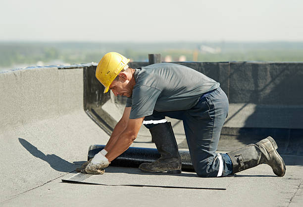 Best Insulation for New Construction  in Rock Creek, AL