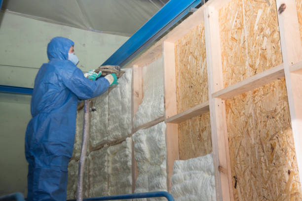 Best Energy-efficient Insulation  in Rock Creek, AL