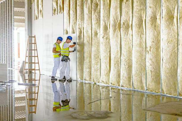 Best Cellulose Insulation  in Rock Creek, AL